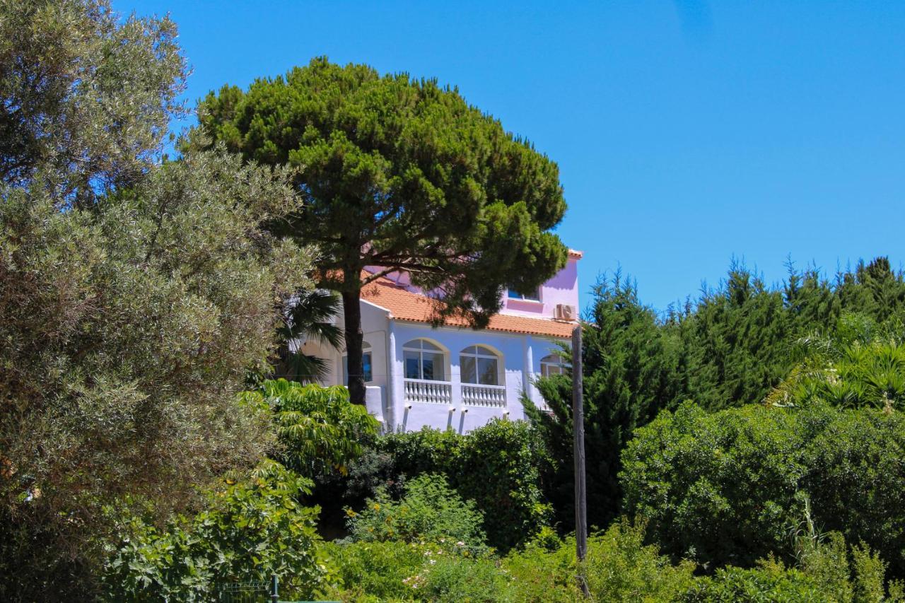 Bed and Breakfast Casa Carioca Carvoeiro Carvoeiro  Esterno foto