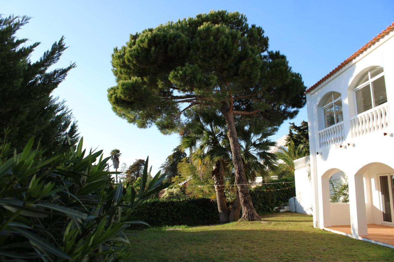 Bed and Breakfast Casa Carioca Carvoeiro Carvoeiro  Esterno foto